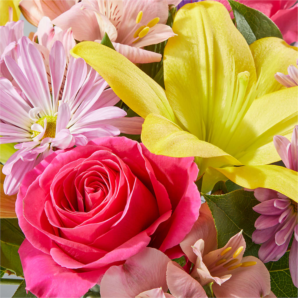 Sprinkles Bouquet – FLOWERS & GIFTS BY ROBERTS, Pinetops NC