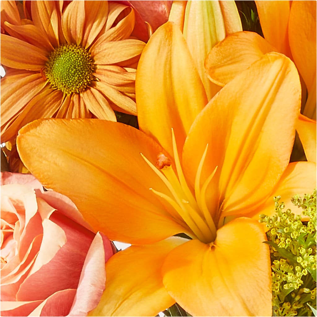 Harvest Hayride Bouquet – FLOWERS & GIFTS BY ROBERTS, Pinetops NC