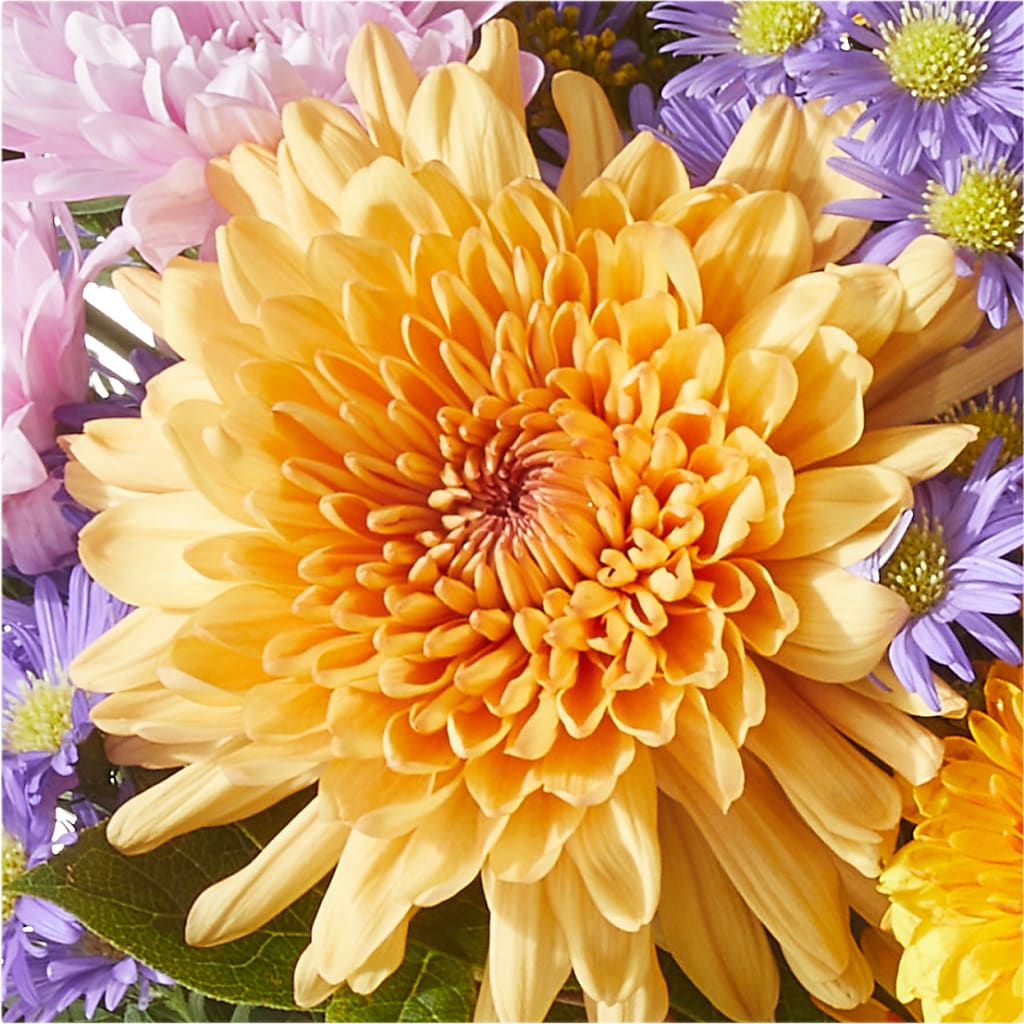 Countryside Bouquet – FLOWERS & GIFTS BY ROBERTS, Pinetops NC