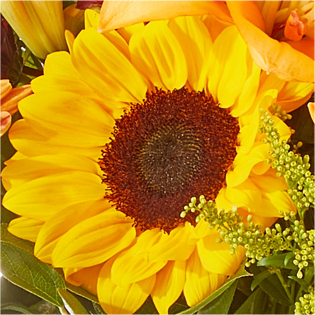 Seasons Change Bouquet – FLOWERS & GIFTS BY ROBERTS, Pinetops NC