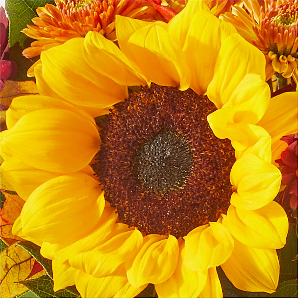 Sunny Side Bouquet – FLOWERS & GIFTS BY ROBERTS, Pinetops NC