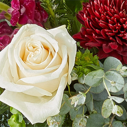 Cranberry Fizz Bouquet – FLOWERS & GIFTS BY ROBERTS, Pinetops NC
