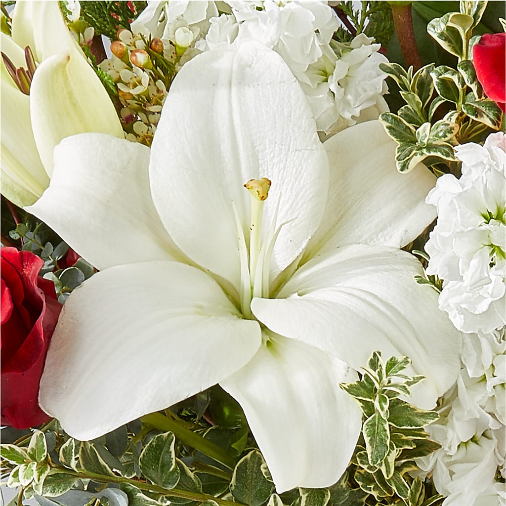 Twinkle Lights Bouquet – FLOWERS & GIFTS BY ROBERTS, Pinetops NC