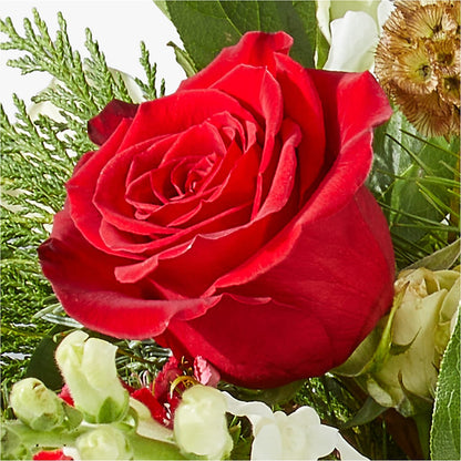 Deck the Halls Bouquet – FLOWERS & GIFTS BY ROBERTS, Pinetops NC