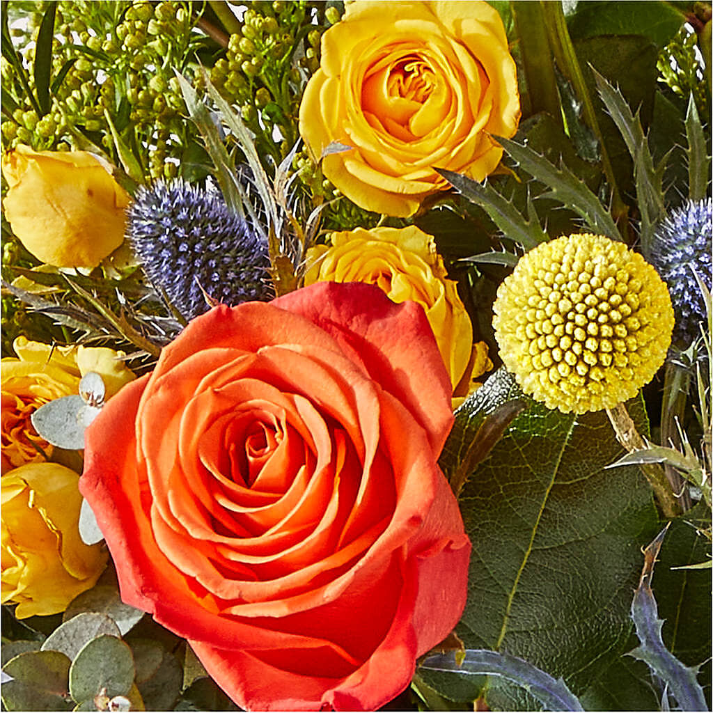 Disco Bouquet – FLOWERS & GIFTS BY ROBERTS, Pinetops NC