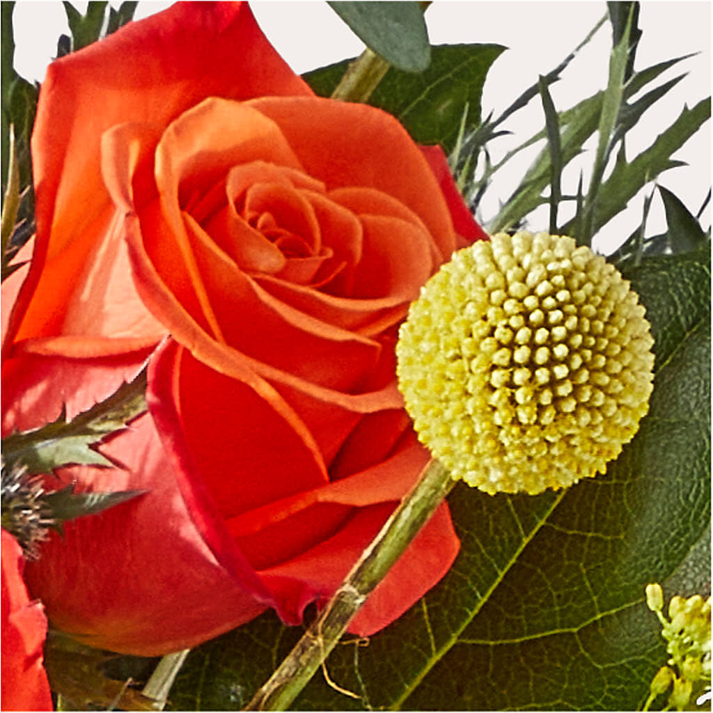 Disco Bouquet – FLOWERS & GIFTS BY ROBERTS, Pinetops NC