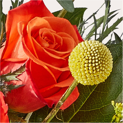 Disco Bouquet – FLOWERS & GIFTS BY ROBERTS, Pinetops NC
