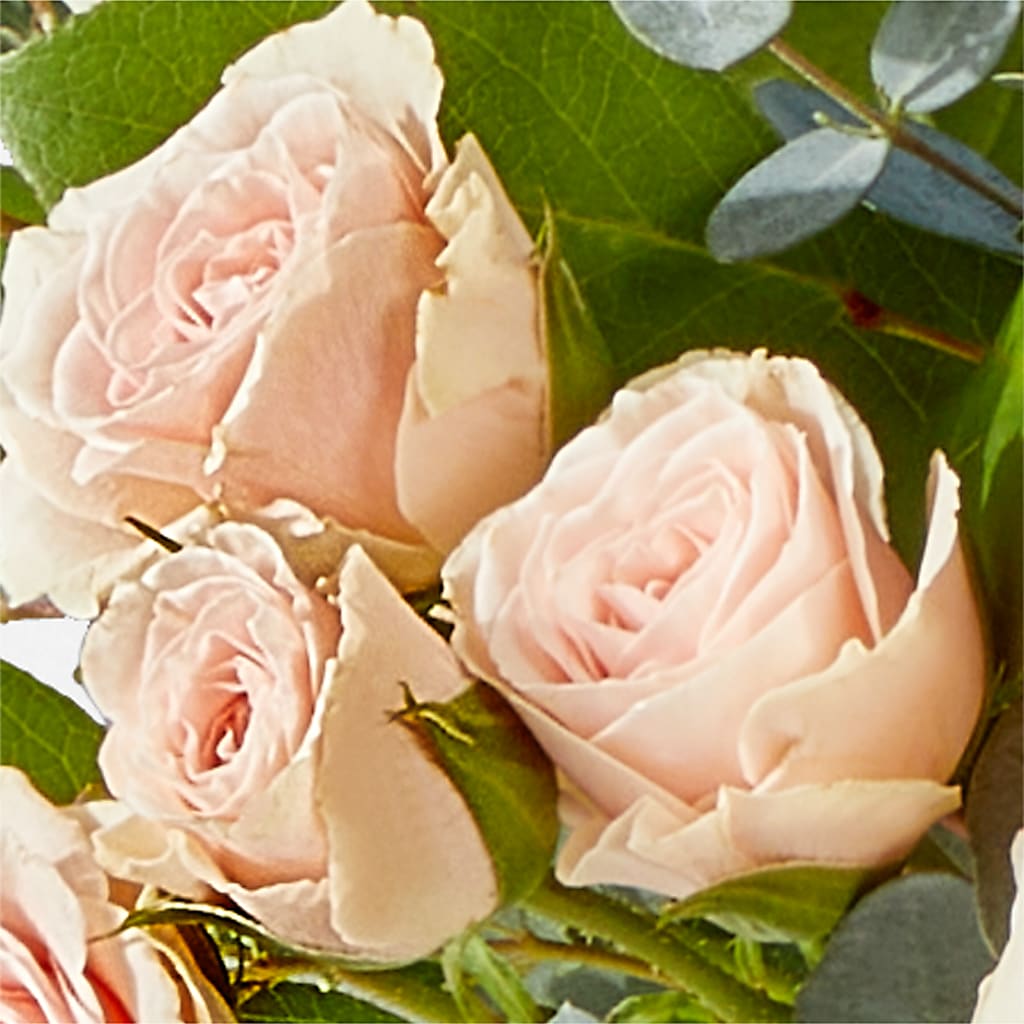Inspired Bouquet – FLOWERS & GIFTS BY ROBERTS, Pinetops NC
