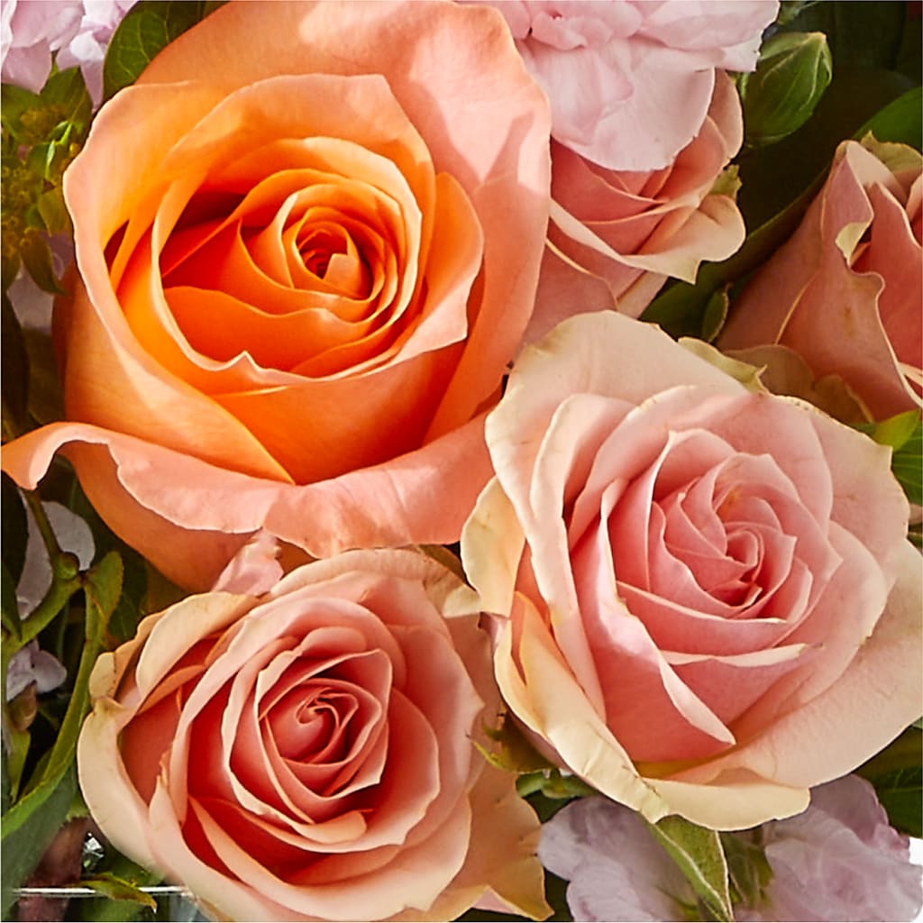 French Market Bouquet – FLOWERS & GIFTS BY ROBERTS, Pinetops NC