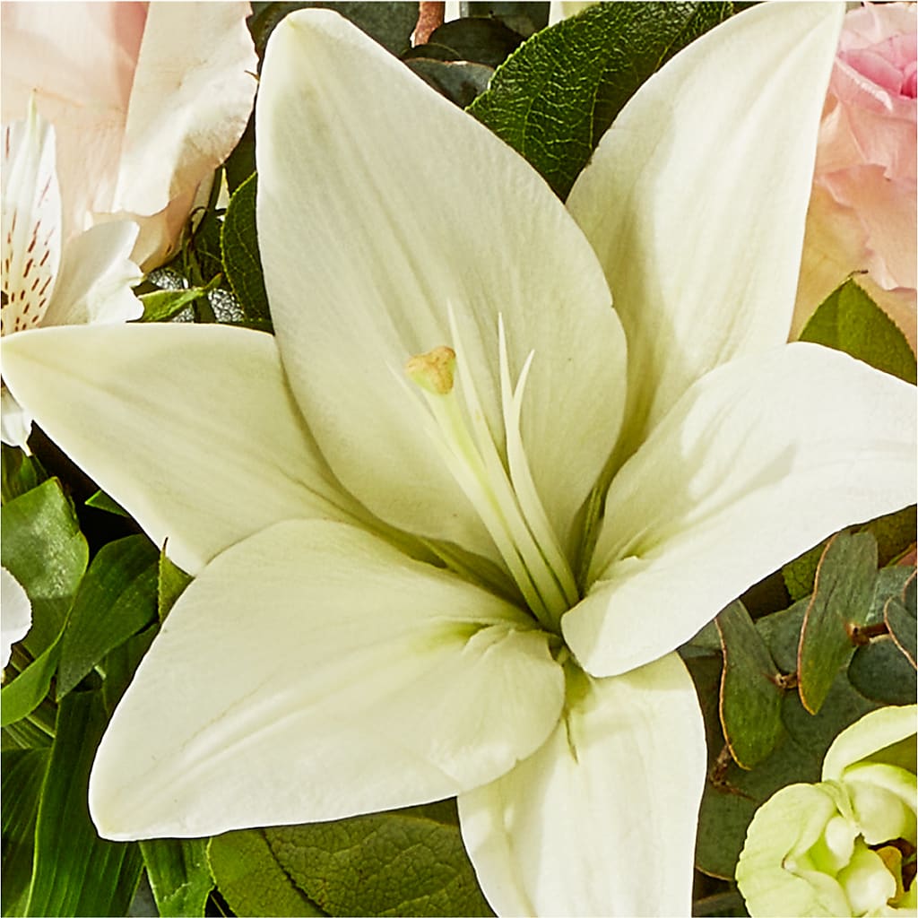 Ballet Slippers Bouquet – FLOWERS & GIFTS BY ROBERTS, Pinetops NC