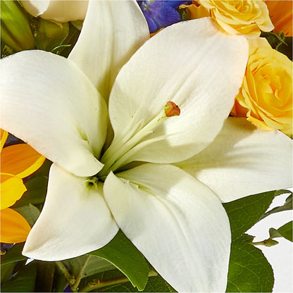 Wonderfully Sunny Bouquet – FLOWERS & GIFTS BY ROBERTS, Pinetops NC