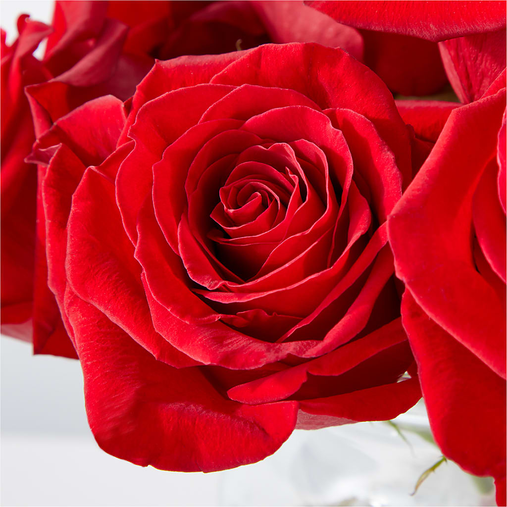 Cupid's Embrace Red Rose Bouquet – FLOWERS & GIFTS BY ROBERTS, Pinetops NC