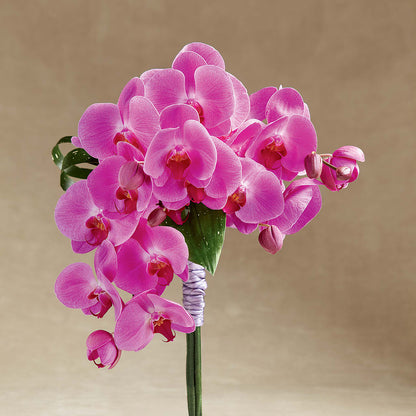 Glorious Bouquet – FLOWERS & GIFTS BY ROBERTS, Pinetops NC