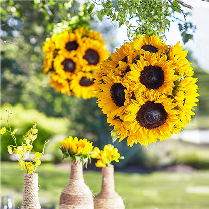 Sublime Garden Hanging Arrangement – FLOWERS & GIFTS BY ROBERTS, Pinetops NC