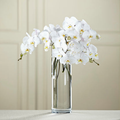 White Phalaenopsis Bouquet – FLOWERS & GIFTS BY ROBERTS, Pinetops NC