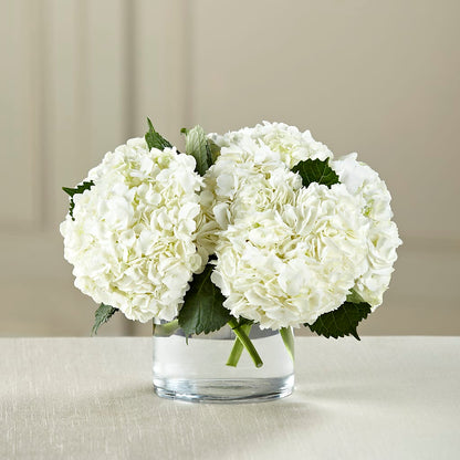White Hydrangea Bouquet – FLOWERS & GIFTS BY ROBERTS, Pinetops NC