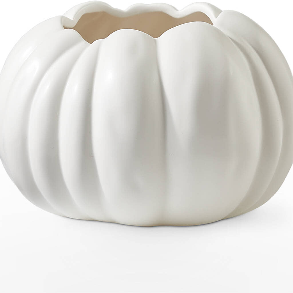 Autumn Air Pumpkin Bouquet – FLOWERS & GIFTS BY ROBERTS, Pinetops NC